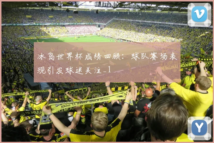 冰岛世界杯成绩回顾：球队赛场表现引发球迷关注_1